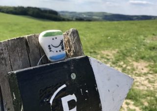 Du entscheidest!