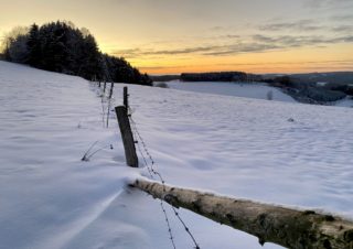 SonnebornWinter2021